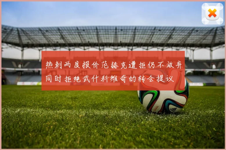 热刺两度报价范赫克遭拒仍不放弃同时拒绝武什科维奇的转会提议